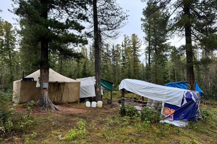 Место, где мужчина занимался заготовкой орехов. Фото пресс-службы ГУ МВД России по Иркутской области