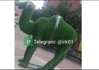 «Верблюжонок». Фото из телеграм-канала «Иркутск №1»