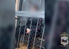 Один из подозреваемых. Скриншот видео пресс-службы ГУ МВД России по Иркутской области