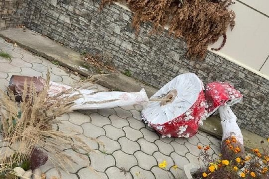 Фото из группы «Новости Ангарск» «ВКонтакте»