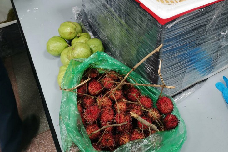 Фото пресс-службы Управления Россельхознадзора по Иркутской области и Республике Бурятия