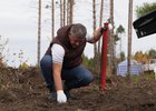 Губернатор Игорь Кобзев на посадке леса.  Фото пресс-службы правительства