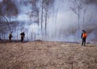 Тушение лесных пожаров. Фото пресс-службы правительства Иркутской области