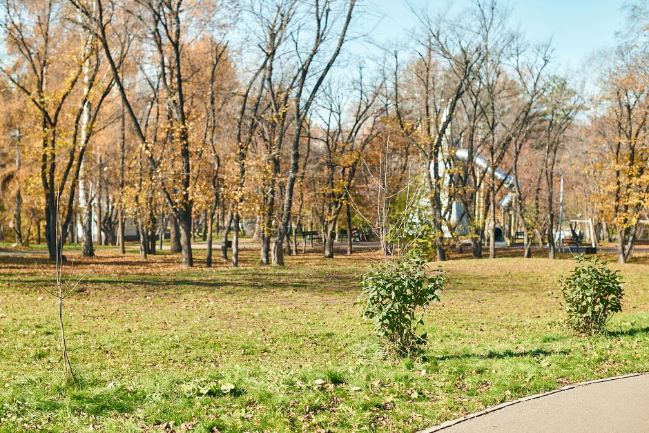 Здесь планируется скейт-площадка и роллер-дром