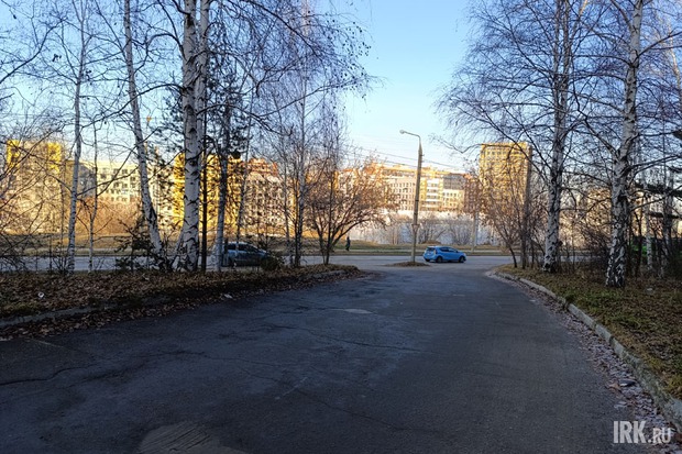 Роща Академгородка. Фото Ольги Фонарёвой, IRK.ru