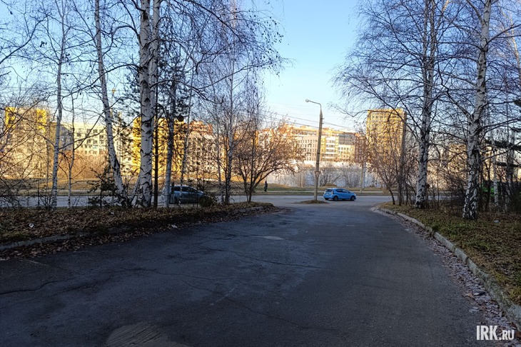 Роща Академгородка. Фото Ольги Фонарёвой, IRK.ru