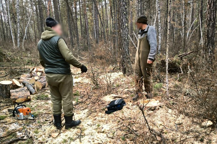 Место вырубки деревьев. Фото пресс-службы «Заповедного Прибайкалья»