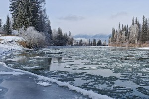 Фото из телеграм-канала Тункинского нацпарка