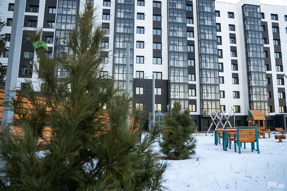 Провели озеленение