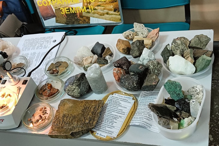 Фото предоставлено ИГУ