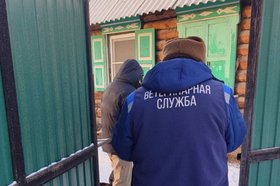 Фото пресс-службы Управления ветеринарии Бурятии
