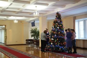 Новогодняя елка. Фото пресс-службы правительства региона