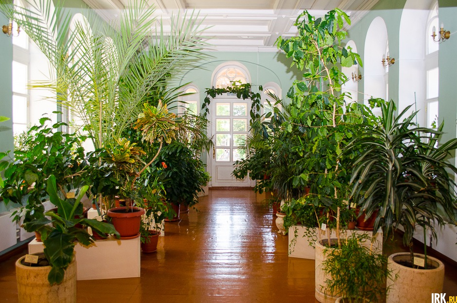 Вот так зимний сад выглядит сейчас. К сожалению, оригинальные растения не сохранились с тех времён.