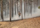 В лесу. Фото ГУ МЧС России по Иркутской области