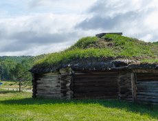 Сейчас такую кровлю назвали бы экологичной.