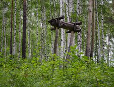 Так выглядело кладбище у народа эвенков. У них не было железа и, соответственно, лопат, а земля была покрыта вечной мерзлотой. Хоронили на деревьях.