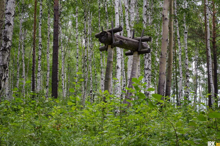 Так выглядело кладбище у народа эвенков. У них не было железа и, соответственно, лопат, а земля была покрыта вечной мерзлотой. Хоронили на деревьях.