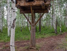 Лабаз. Это охотничий амбар с защитой от медведей и других животных.