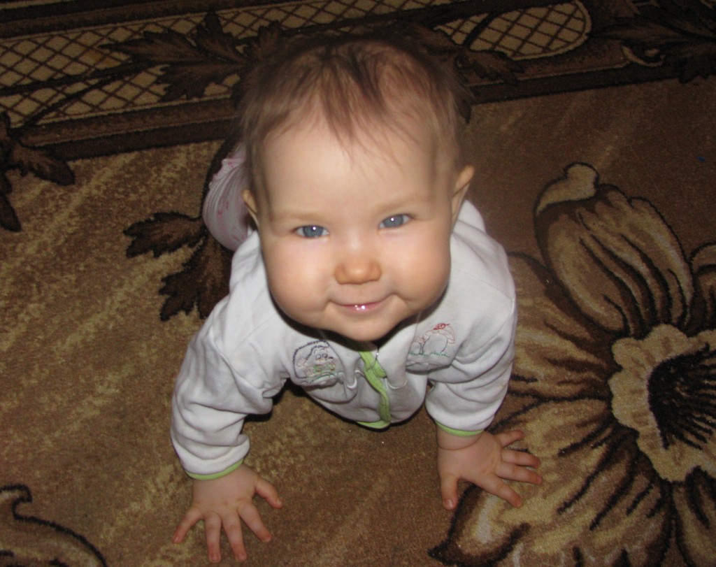 Лисенок. Фото семьи Шапошниковых