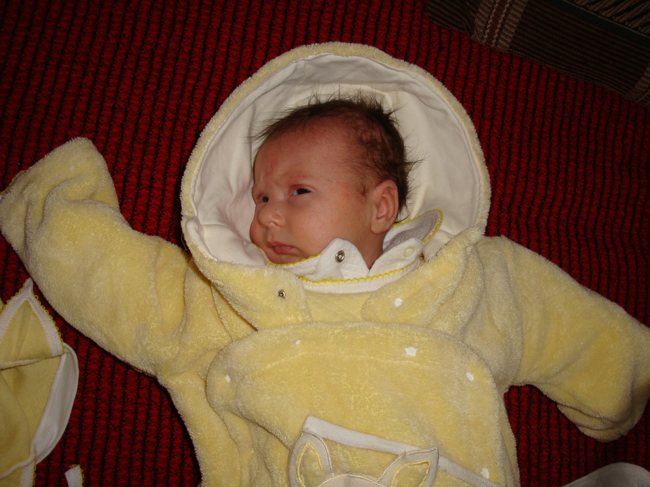 «Этому космонавту больше не наливать». Фото прислала Татьяна Гинзбург