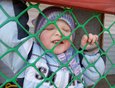 Ванюшка на прогулке. «Я злой и страшный серый волк!». Фото прислала Марина