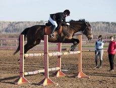 Показательные выступления всадников