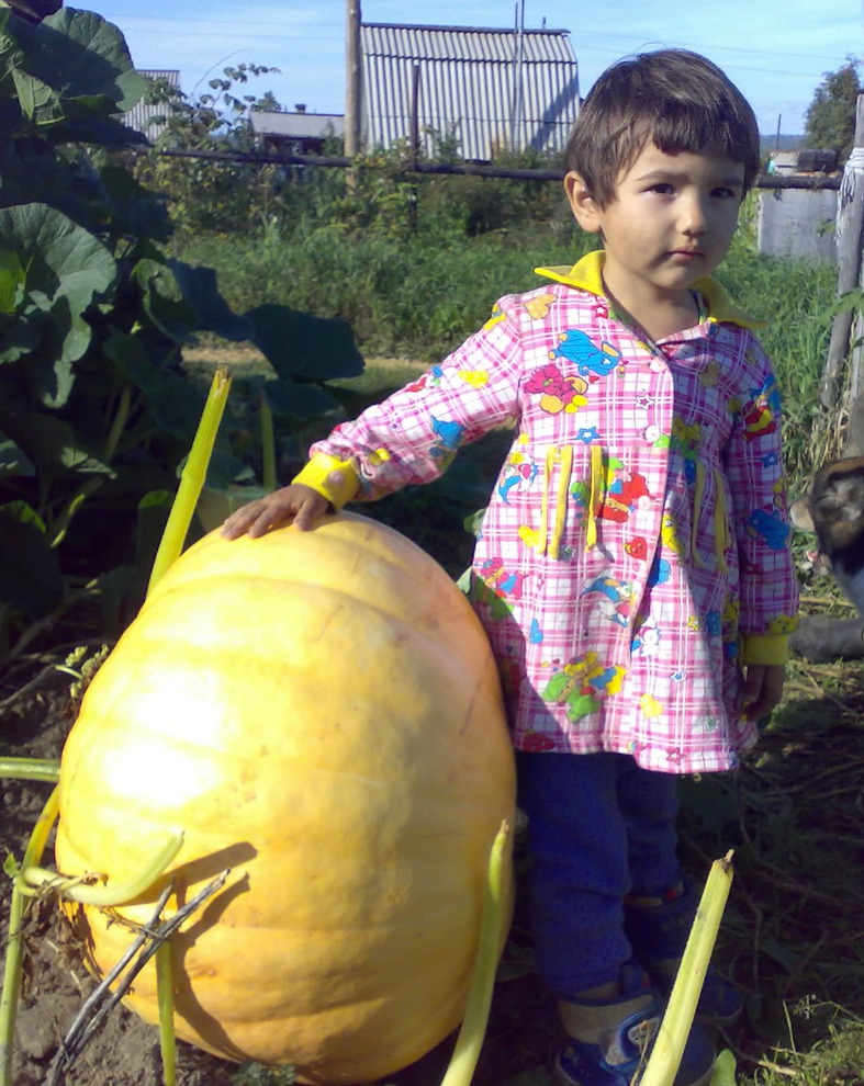 «Что выросло - то выросло!». Фото прислал Кустов Е.В.