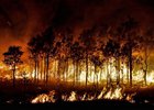 Лесной пожар. Фото с сайта Заповедного Прибайкалья