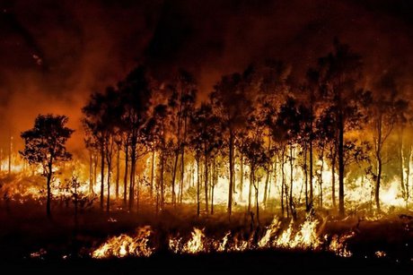 Лесной пожар. Фото с сайта Заповедного Прибайкалья