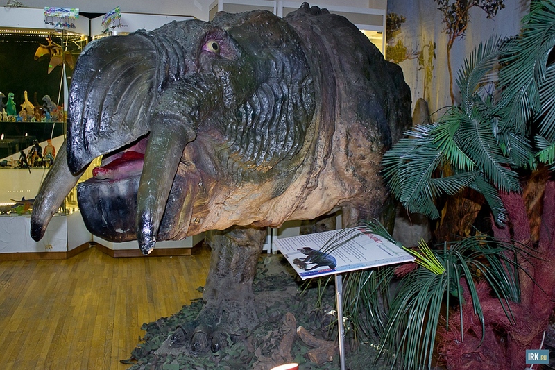 Дицинодонт — подгруппа растительноядных тероморфов («зверообразных»)