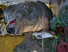 Дицинодонт — подгруппа растительноядных тероморфов («зверообразных»)