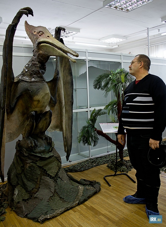 Птеранодон — род птерозавров. Известен с верхнего мела Северной Америки. Отличался крупным выростом на голове, выполнявшим роль руля при полете, и беззубым клювом