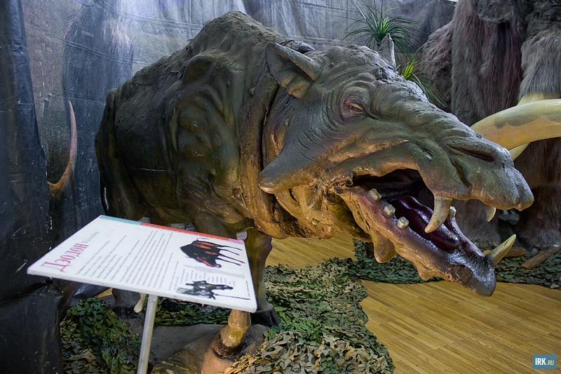 Дэодон — вымершее парнокопытное, один из крупнейших видов семейства энтелодонтид. Жил около 25—18 миллионов лет назад в Северной Америке