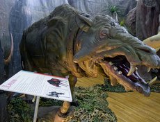 Дэодон — вымершее парнокопытное, один из крупнейших видов семейства энтелодонтид. Жил около 25—18 миллионов лет назад в Северной Америке