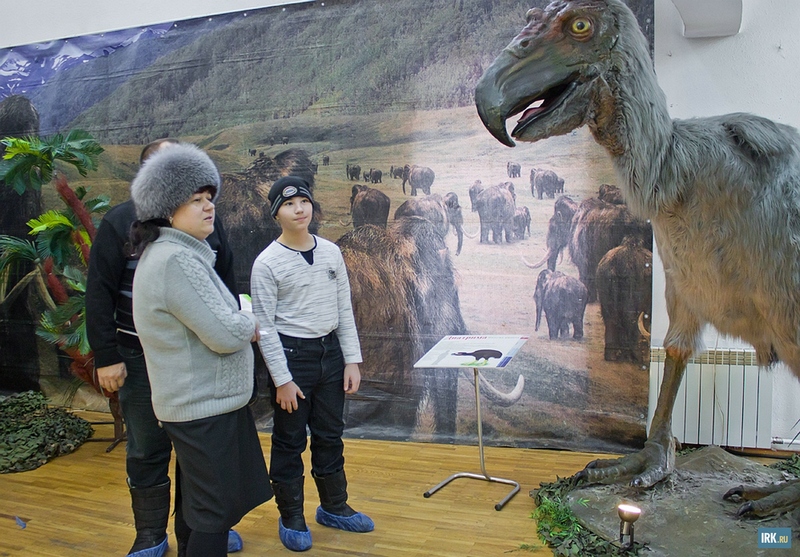 Диатрима — род вымерших крупных нелетающих птиц, существовавший в позднем палеоцене и эоцене 56 миллионов лет назад