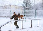 Площадка для собак в Зеленом. Фото пресс-службы администрации Иркутска