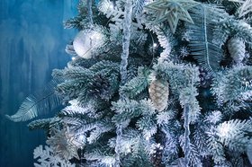 Новогодняя ель. Фото Маргариты Романовой, IRK.ru