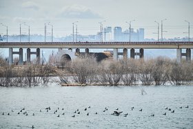 Академический мост. Фото Маргариты Романовой, IRK.ru