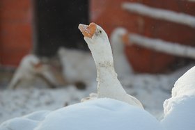 Зима. Фото из архива IRK.ru