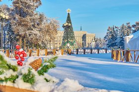 Елка в сквере Кирова. Фото Маргариты Романовой из архива IRK.ru
