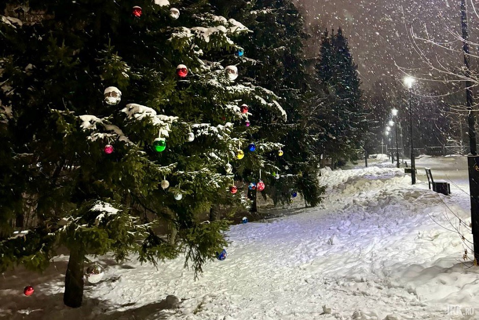 Лисихинский парк. Фото Элины Хитриной, IRK.ru