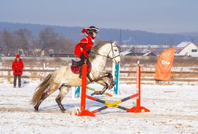 Соревнования по конкуру на Иркутском ипподроме