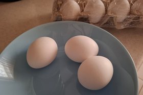 Куриные яйца. Фото IRK.ru