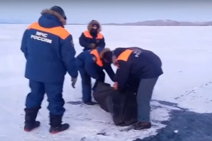 Скриншот видео пресс-службы ГУ МЧС России по Иркутской области