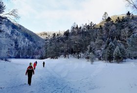 «Байкальский кладезь». Экскурсия в Большое Голоустное