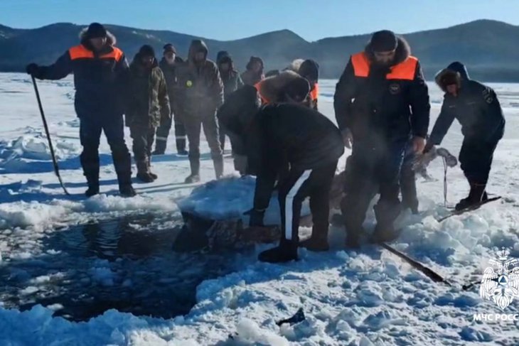 Поисковая операция. Фото пресс-службы ГУ МЧС по региону