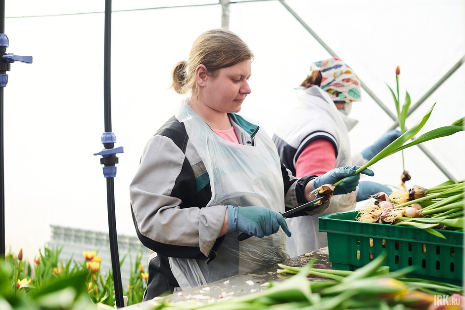 Это существенно сокращает трудозатраты и экономит материальные ресурсы.
