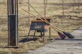 Метла. Фото Маргариты Романовой, IRK.ru