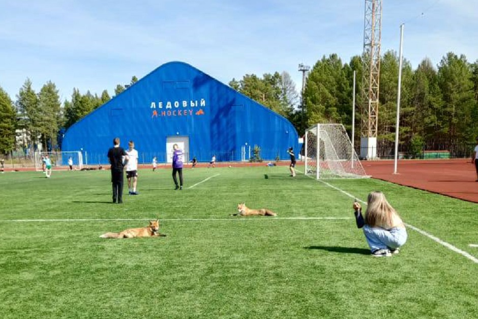 Фото из телеграм-канала «Саянск. Зима»