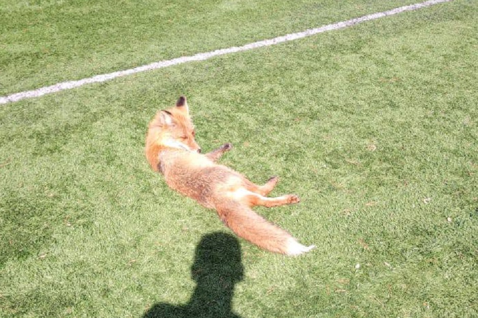 Фото из телеграм-канала «Саянск. Зима»